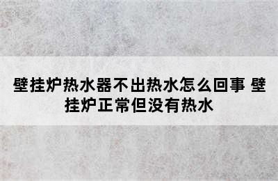 壁挂炉热水器不出热水怎么回事 壁挂炉正常但没有热水